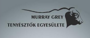 murray grey egyesület